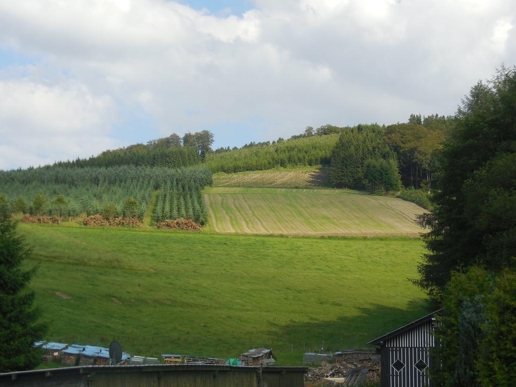 Gasthaus Wollmeiner Schmallenberg Luaran gambar