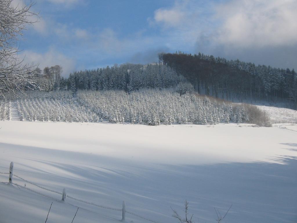 Gasthaus Wollmeiner Schmallenberg Luaran gambar